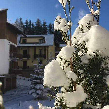 Vila 15 Vila De Aur Poiana Brașov